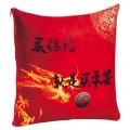 中國(guó)平安保險(xiǎn)抱枕被