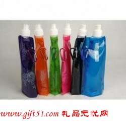 環(huán)保折疊運(yùn)動(dòng)水袋