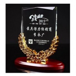 經(jīng)銷商水晶獎(jiǎng)杯